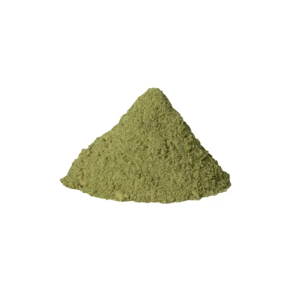 Moringa proszek 100g — Superfood z drzewa życia