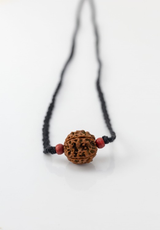Naszynik z rudraksha 5 mukhi