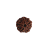Nasiona Rudraksha 5-cio twarzowy — Oryginalne nasiona Rudraksha Panchmukhi (5-twarzowe) z Nepalu, średnica 18–22 mm