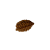 Nasiona Rudraksha 2- twarzowy