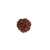 Nasiona Rudraksha 3- twarzowy