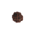 Nasiona Rudraksha 4- twarzowy