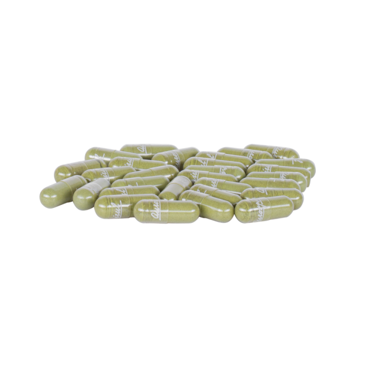 Moringa 100 kaps. 40 g — Moringa ( Moringa oleifera ) zwana „drzewem długowieczności” to gatunek drzewa tropikalnego