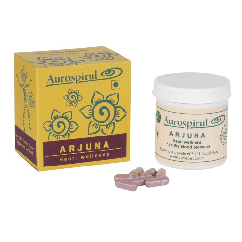 Arjuna 100 kaps. 40 g — Arjuna 100 kaps
