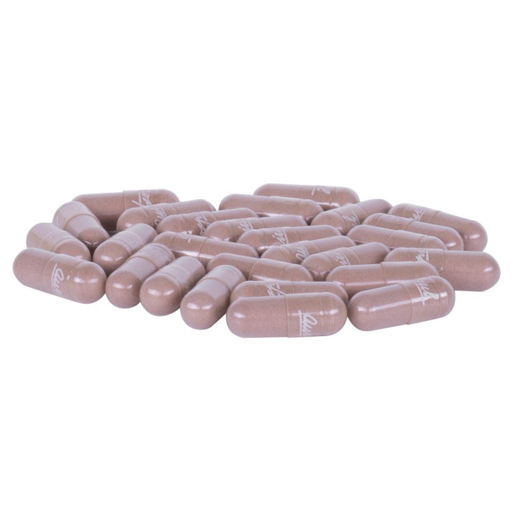 Arjuna 100 kaps. 40 g — Arjuna 100 kaps