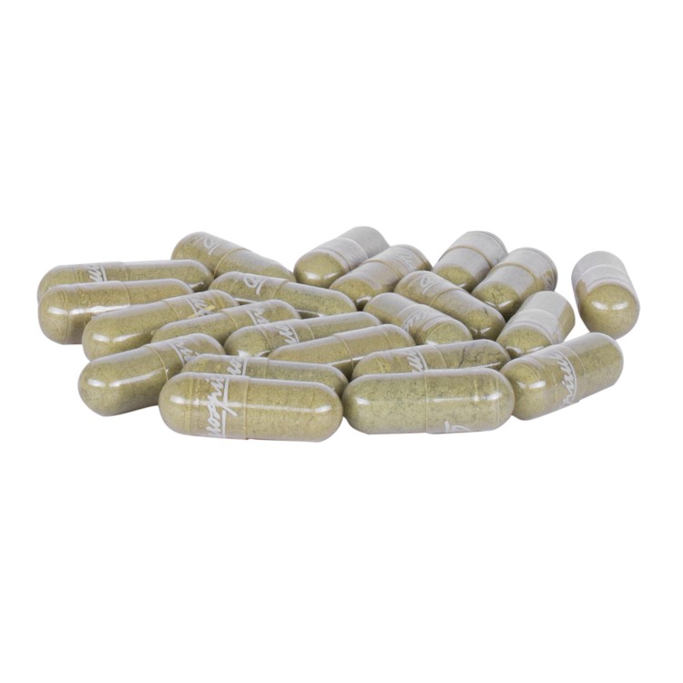 Neem 100 kaps. 35 g — Neem ( Azadirachta indica ), zwany również miodłą indyjską to roślina szczególnie dedykowana osobom