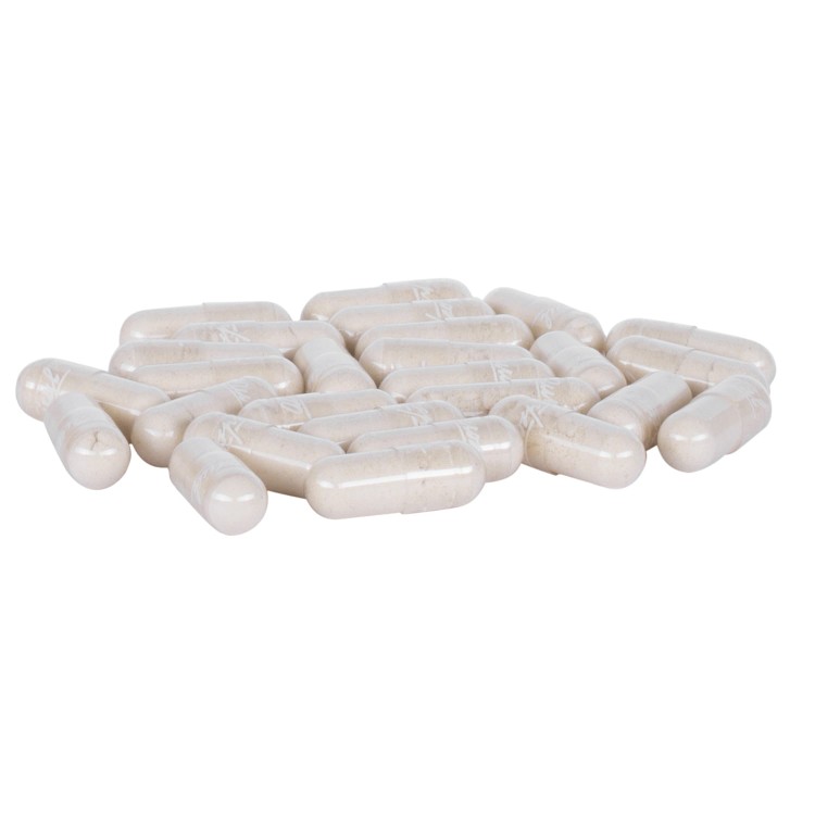 Shatavari 100 kaps. 35 g — Shatavari 100 kaps