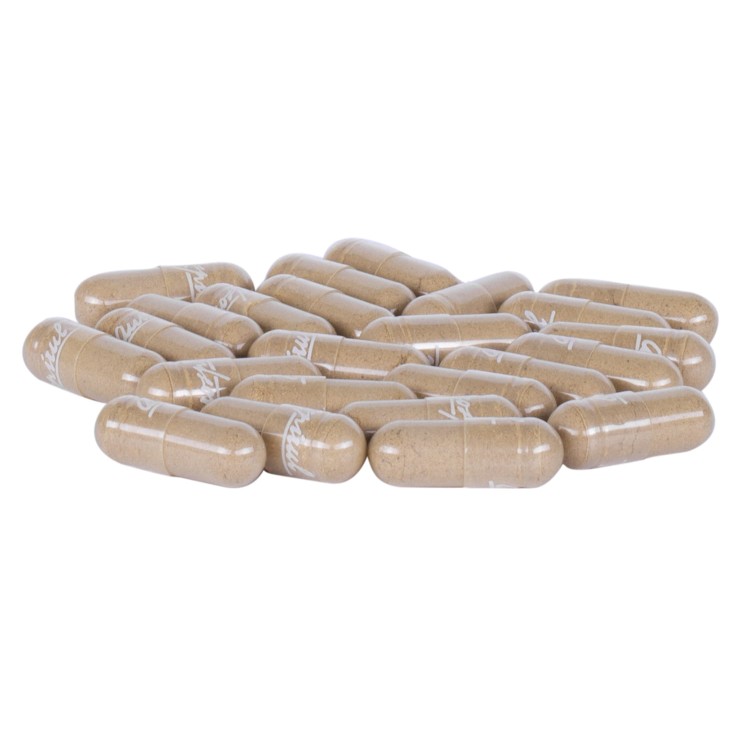Triphala 100 kaps. 50 g — Triphala jest ajurwedyjską mieszanką trzech owoców: Amla ( Emblica Officinalis ), Bibhitaki (